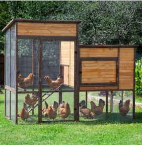 Precision Pet Products Walk-In Prairie House Chicken Coop, Up To 15 Chickens