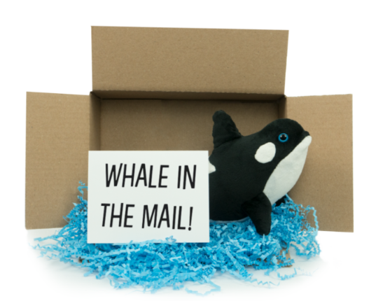 Whale In The Mail!