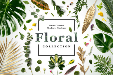 Floral Mockups Collection