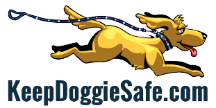 Keep Doggie Safe